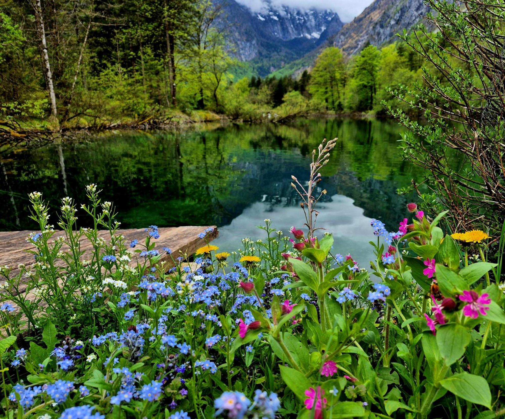 Ferienlounge Bluntausee Golling an der Salzach Exterior foto